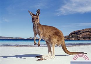 Auswanderer aufgepasst: Australien führt zwei neue Visaklassen ein